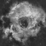 Rosette nebula web