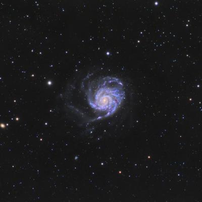 M101 web