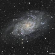 M33