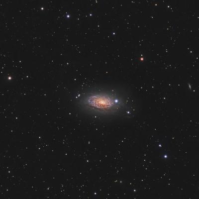 M63 web